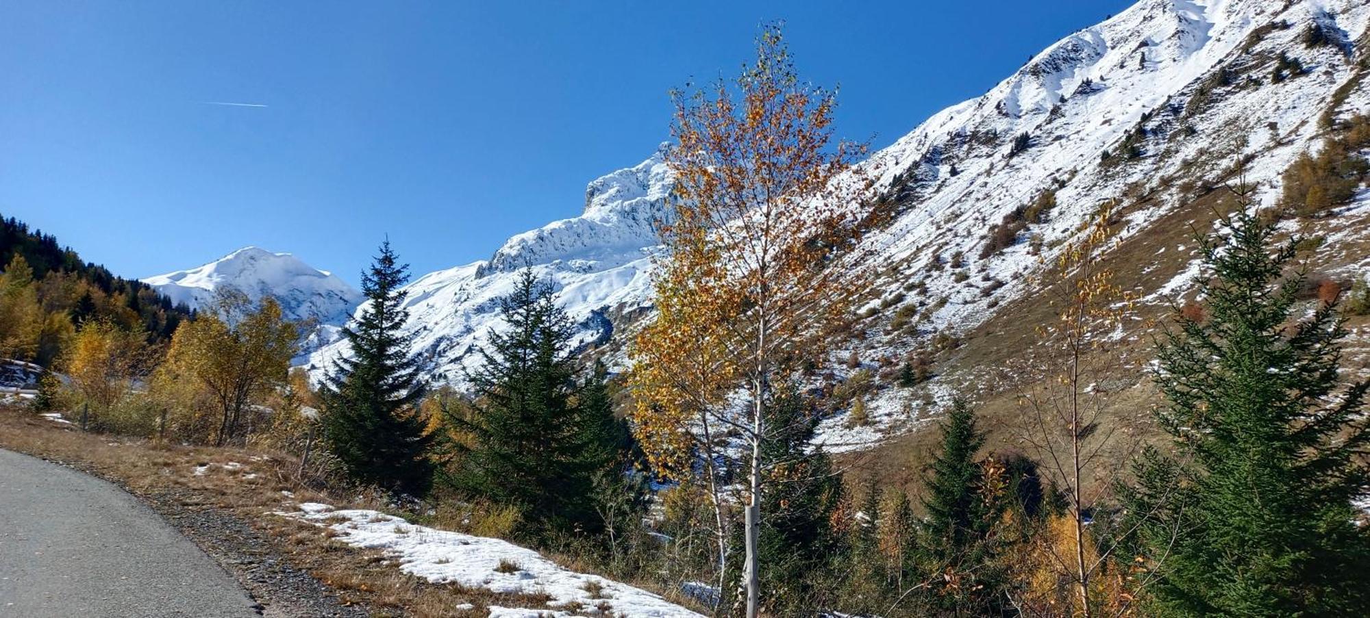 Chalet Le Loup Bouquetin Villa Saint-Colomban-des-Villards Dış mekan fotoğraf